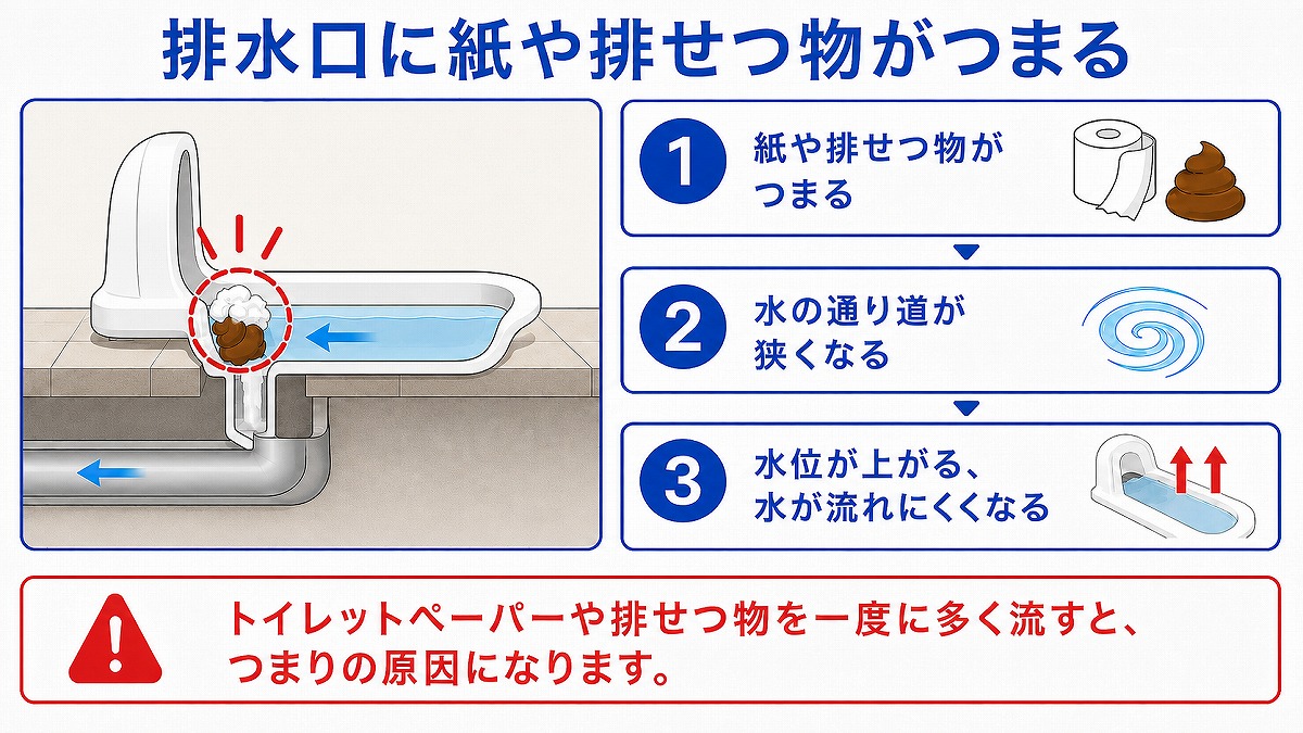 排水口に紙や排せつ物がつまる