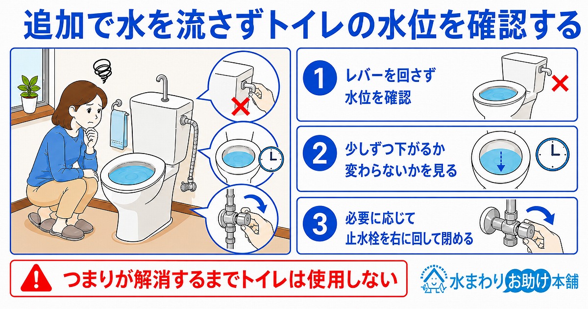 追加で水を流さずトイレの水位を確認する
